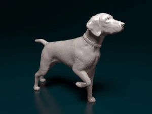 Deutsch Kurzhaar 3D Print Model