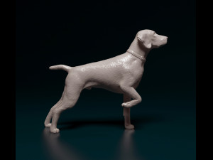 Deutsch Kurzhaar Modelo de Impressão 3D