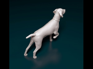 Deutsch Kurzhaar Modelo de Impressão 3D