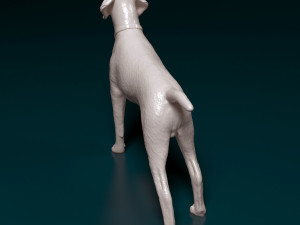 Deutsch Kurzhaar Modelo de Impressão 3D