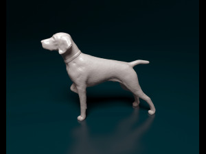 Deutsch Kurzhaar Modelo de Impressão 3D