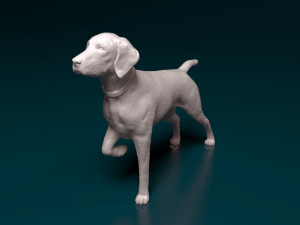 Deutsch Kurzhaar Modelo de Impressão 3D