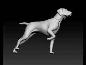 Deutsch Kurzhaar Modelo de Impressão 3D