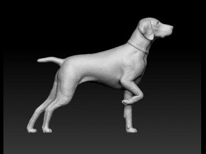 Deutsch Kurzhaar Modelo de Impressão 3D