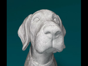 Deutsch Kurzhaar Modelo de Impressão 3D