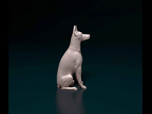 Doberman sitting 3D Print Model