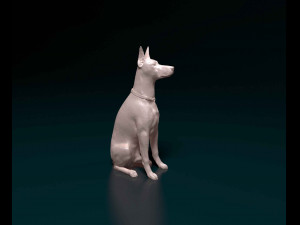 Doberman sitting 3D-printmodel