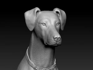 Doberman sitting 3D Print Model