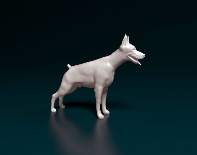 Doberman 3D प्रिंट मॉडल .c4d .max .obj .3ds .fbx .stl .blend 