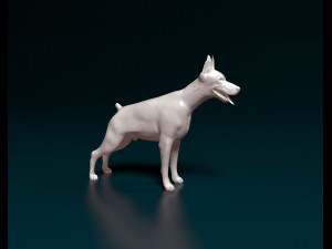 Doberman 3D Print Model