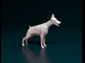 Doberman 3D प्रिंट मॉडल