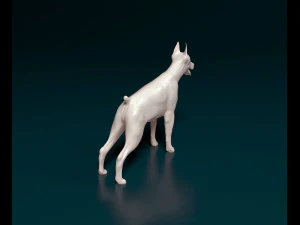 Doberman 3D Print Model