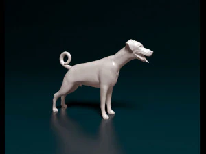 Doberman 3D Print Model