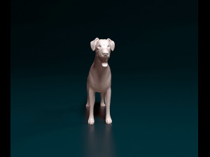 Doberman 3D प्रिंट मॉडल