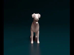 Doberman 3D Print Model