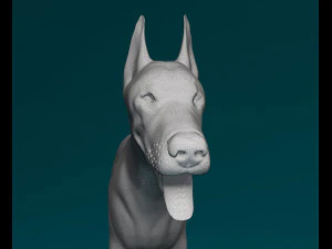 Doberman 3D Print Model