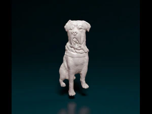 Mastino Napolitano Bas-relief 3D Print Model