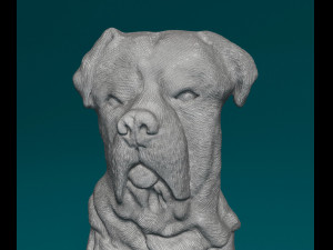 Mastino Napolitano Bas-relief Modelo de impresión 3D