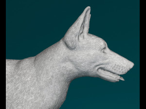 Dog with ball 3D printmodel