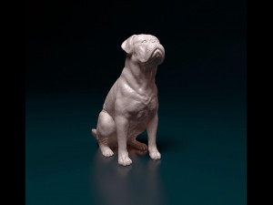 Dogue de Bordeaux Modelo de impresión 3D