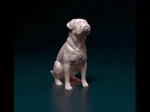 Dogue de Bordeaux 3D Print Model