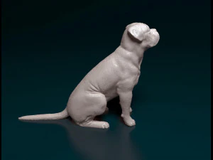 Dogue de Bordeaux 3D Print Model