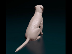 Dogue de Bordeaux Modelo de impresión 3D