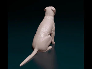 Dogue de Bordeaux 3D Print Model