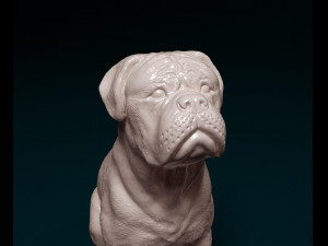 Dogue de Bordeaux Modelo de impresión 3D