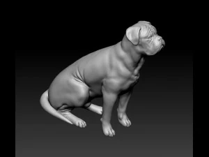 Dogue de Bordeaux 3D Print Model