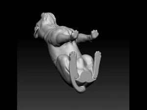 Dogue de Bordeaux 3D Print Model
