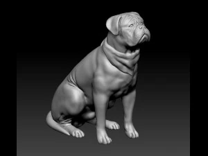 Dogue de Bordeaux 3D Print Model