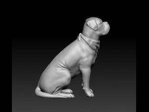 Dogue de Bordeaux 3D Print Model
