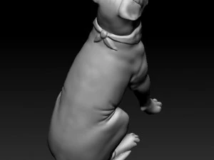 Dogue de Bordeaux 3D Print Model