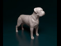Dogue do Bordeaux 3D प्रिंट मॉडल