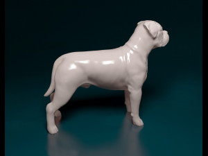 Dogue do Bordeaux Modelo de Impressão 3D