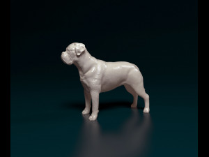 Dogue do Bordeaux Modelo de Impressão 3D