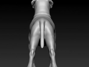 Dogue do Bordeaux Modelo de Impressão 3D