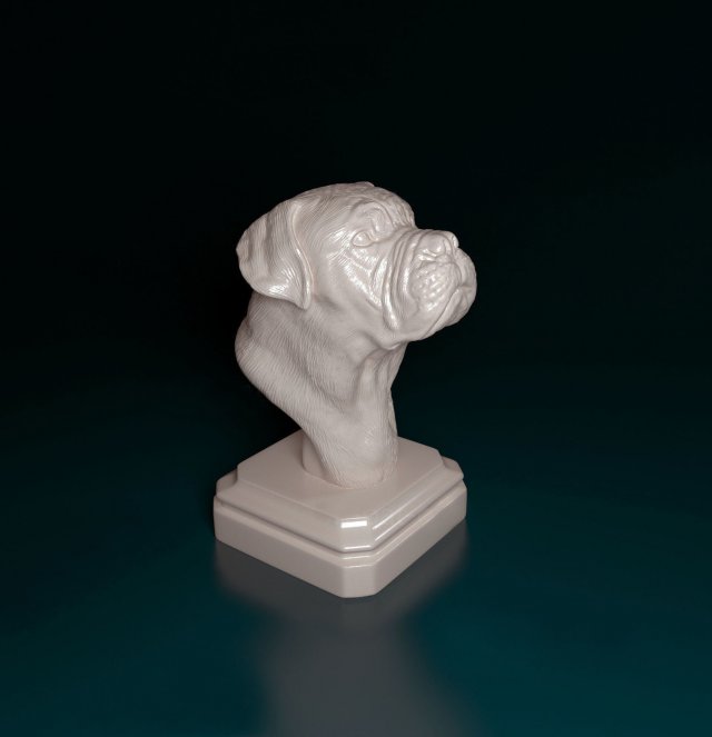 Dogue do Bordeaux bust 3D Print Model .c4d .max .obj .3ds .fbx .stl .blend 