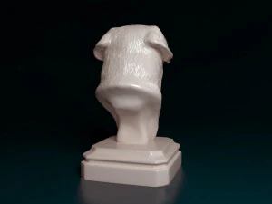 Dogue do Bordeaux bust 3D Print Model