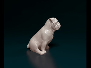 English bulldog sitting 3D Baskı Modeli