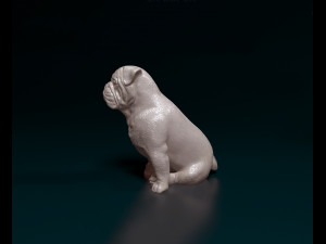 English bulldog sitting 3D Baskı Modeli