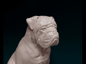 English bulldog sitting 3D Baskı Modeli