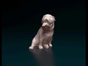 Bulldog inglese con la lingua Modello di stampa 3D