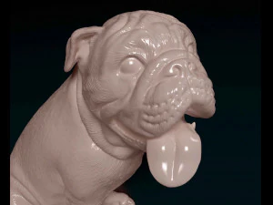 English Bulldog with tongue 3D Print Model