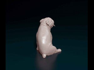 English Bulldog with tongue Modelo de Impressão 3D