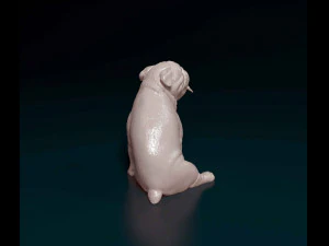 English Bulldog with tongue 3D Print Model