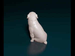 English Bulldog with tongue Modelo de Impressão 3D