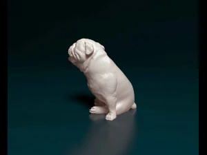 English Bulldog with tongue 3D Print Model
