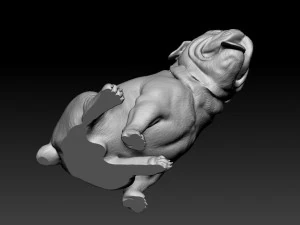 English Bulldog with tongue 3D Print Model